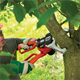 Ketting Takkenzaag BlackDecker GK1000