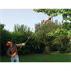 Telescoop Kettingzaag BlackDecker PS7525