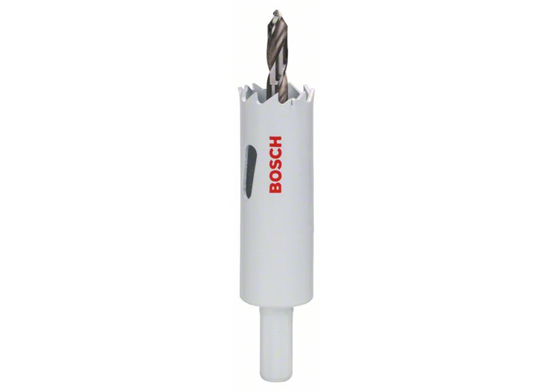 Gatenzaag - bi-metaal 22mm Bosch 2609255602