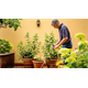 Dompelpomp Bosch GardenPump 18V-2000
