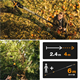 Snoeigiraffe Telescopisch Fiskars PowerGear X UPX86
