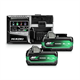 Startersset 18V: Accu 2x2,5Ah BSL36A18X + oplader UC18YSL3 Hikoki UC18YSL3 WHZ