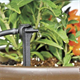 Planten irrigatie set Hozelock 2802
