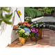Planten irrigatie set Hozelock 2804