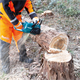 Kettingzaag Makita XGT UC023GT101 1x5.0Ah