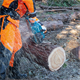 Kettingzaag Makita XGT UC025GZ