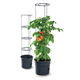 Bloempot 28l Prosperplast TOMATO GROWER antracyt